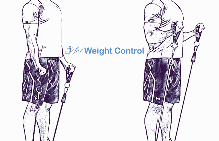 forweightcontrol biceps curl - For Weight Control
