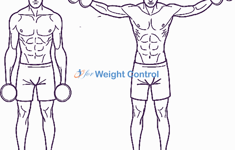 forweightcontrol lateral raise - For Weight Control